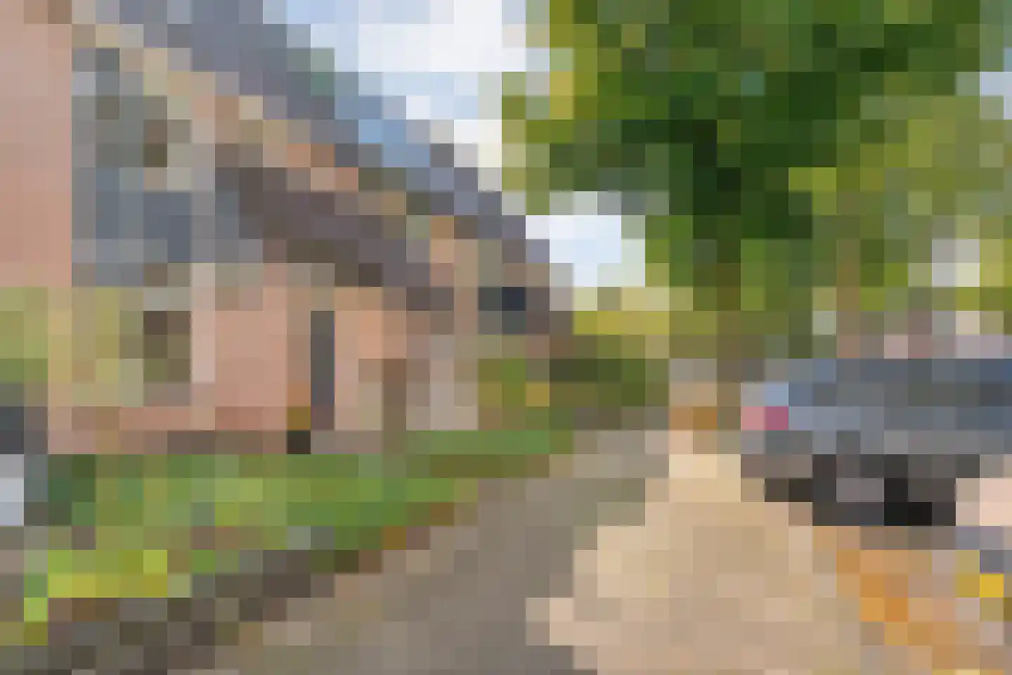 Schepenenlaan 76 Zwolle thumbnail 36