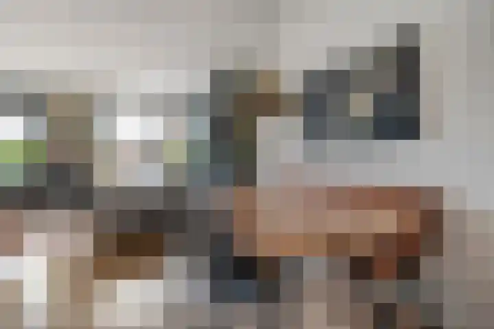 Schepenenlaan 84 Zwolle thumbnail 12