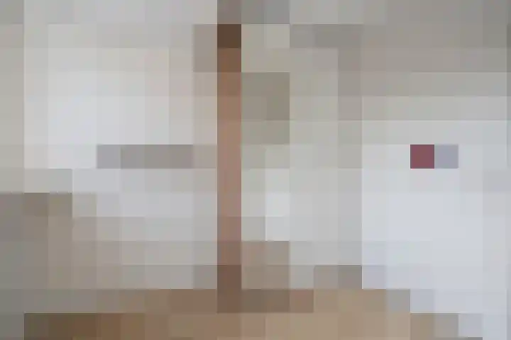 Schepenenlaan 84 Zwolle thumbnail 22