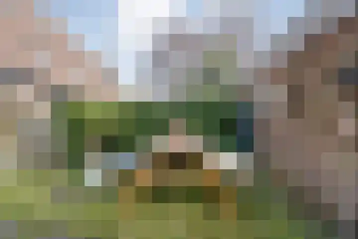 Schepenenlaan 84 Zwolle thumbnail 30