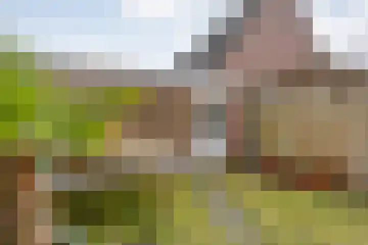 Schepenenlaan 84 Zwolle thumbnail 32