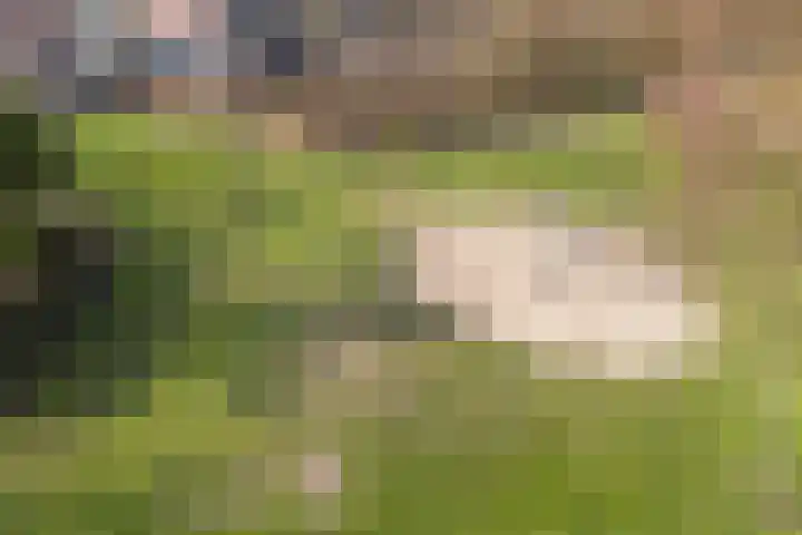 Schepenenlaan 84 Zwolle thumbnail 33