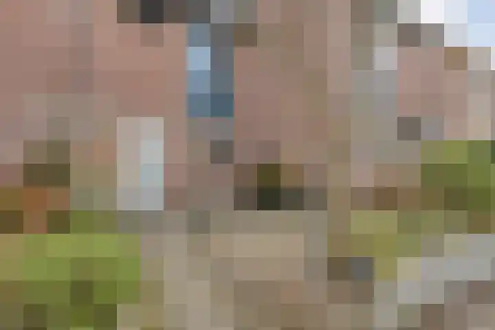 Schepenenlaan 84 Zwolle thumbnail 34