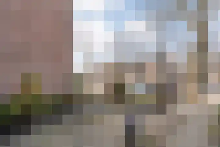 Schepenenlaan 84 Zwolle thumbnail 35