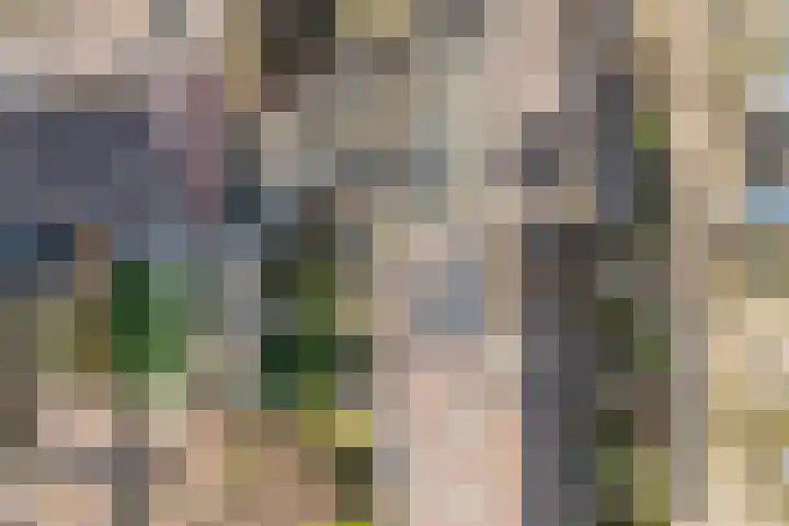 Schepenenlaan 84 Zwolle thumbnail 36