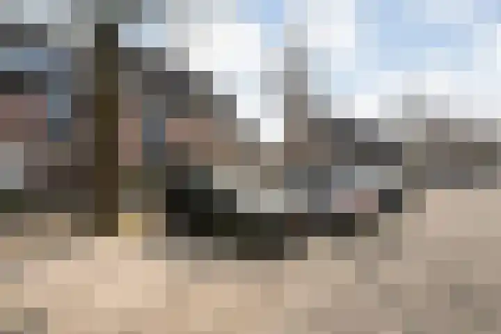 Schepenenlaan 84 Zwolle thumbnail 37