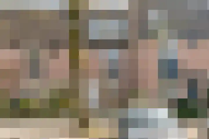 Schepenenlaan 84 Zwolle thumbnail 38