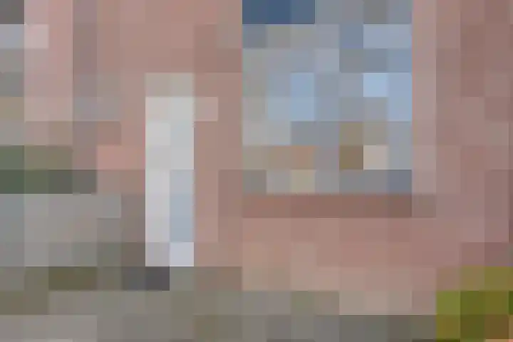 Schepenenlaan 84 Zwolle thumbnail 39