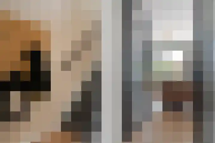 Schepenenlaan 84 Zwolle thumbnail 4