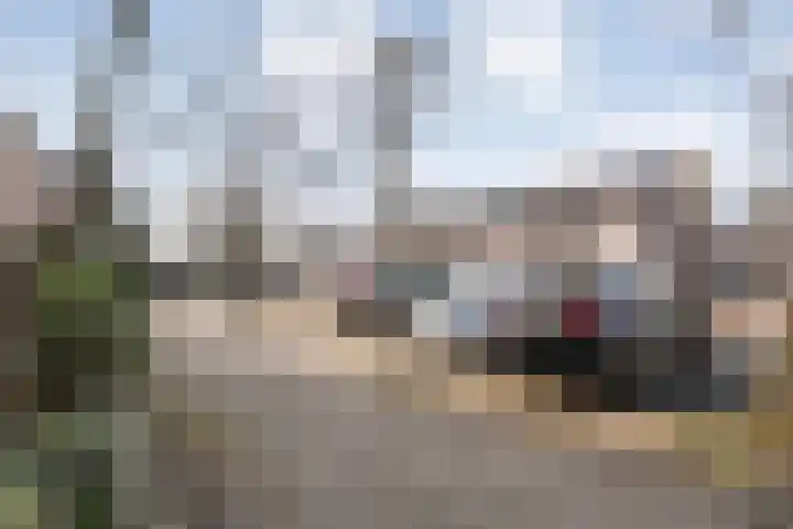 Schepenenlaan 84 Zwolle thumbnail 41
