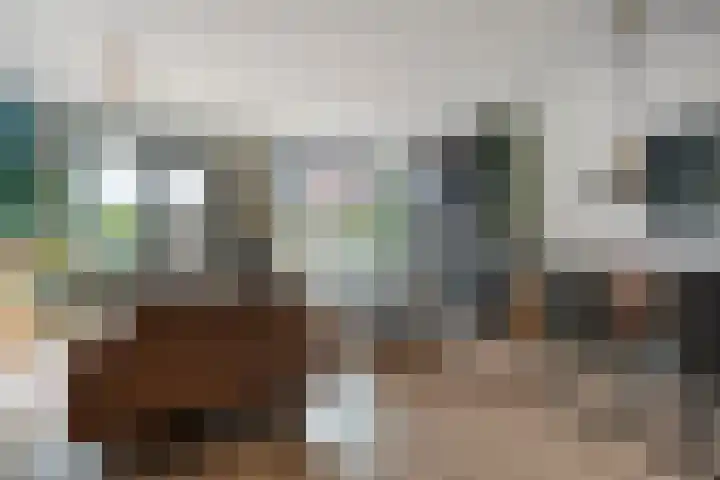 Schepenenlaan 84 Zwolle thumbnail 6