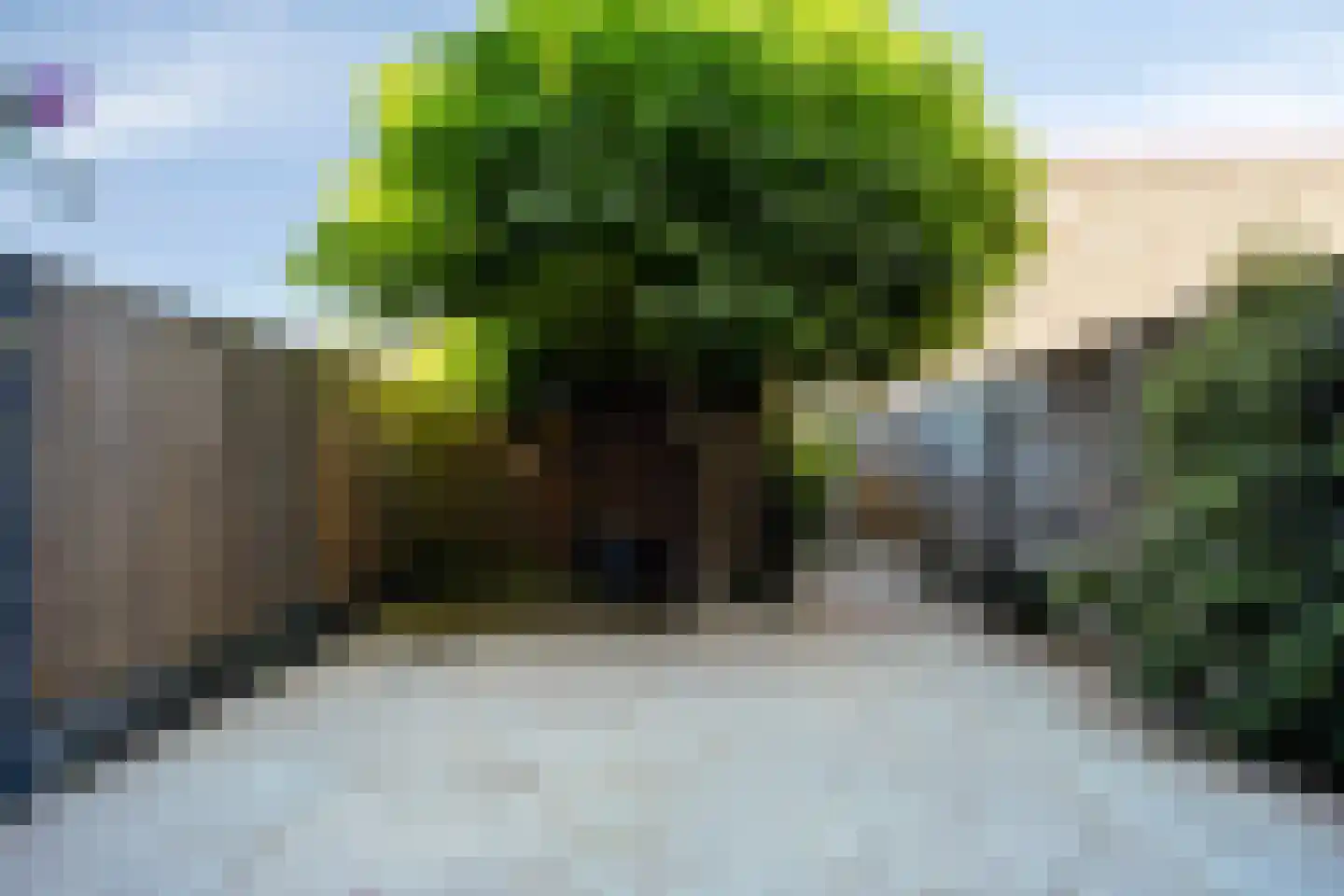 Schepenensingel 79 IJsselstein thumbnail 34
