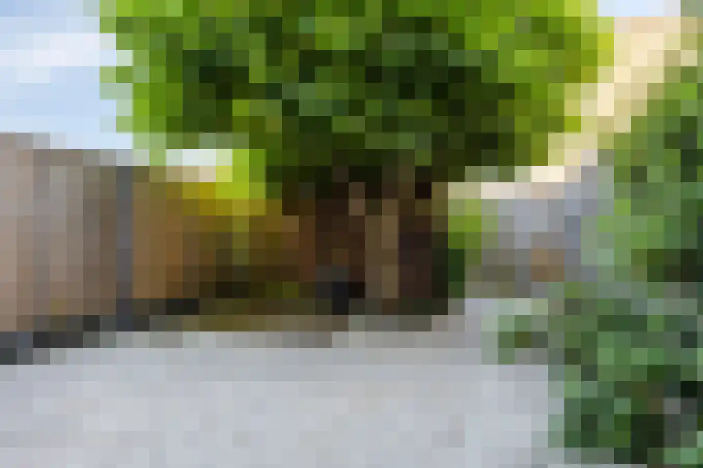 Schepenensingel 79 IJsselstein thumbnail 35