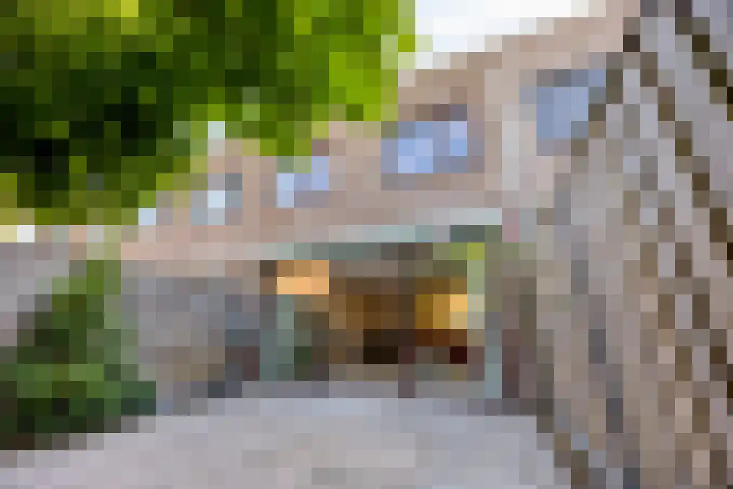 Schepenensingel 79 IJsselstein thumbnail 36