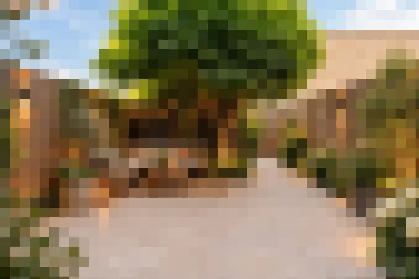 Schepenensingel 79 IJsselstein thumbnail 39