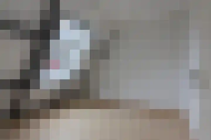 Schepenenstraat 12 Kerkrade thumbnail 14