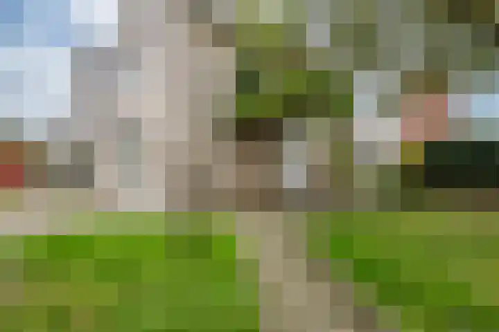 Schepenenstraat 12 Kerkrade thumbnail 24