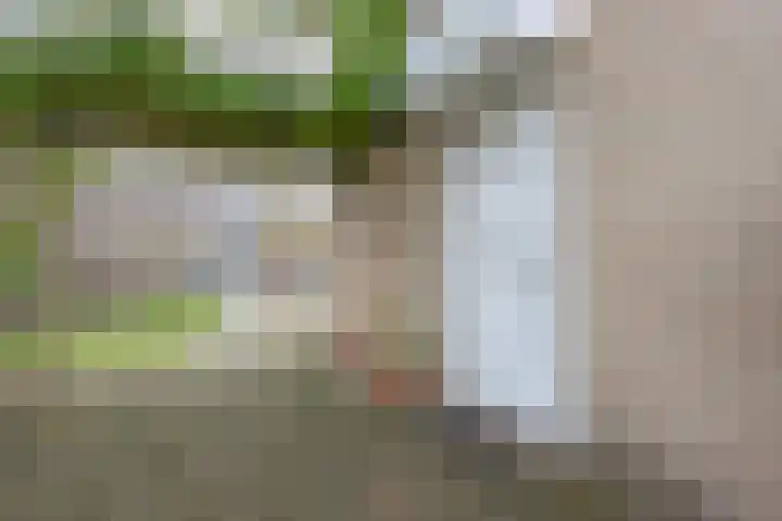 Schepenenstraat 12 Kerkrade thumbnail 25