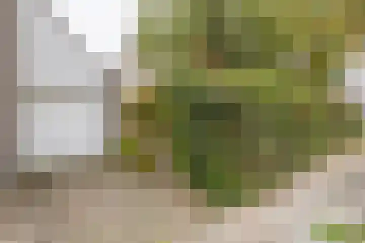 Schepenenstraat 12 Kerkrade thumbnail 26