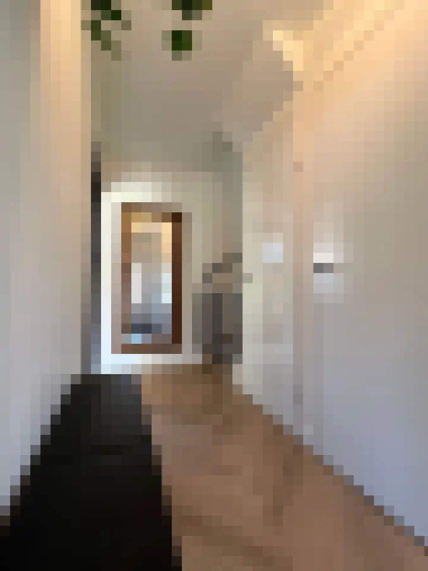 Schepenenstraat 13 Montfoort thumbnail 17