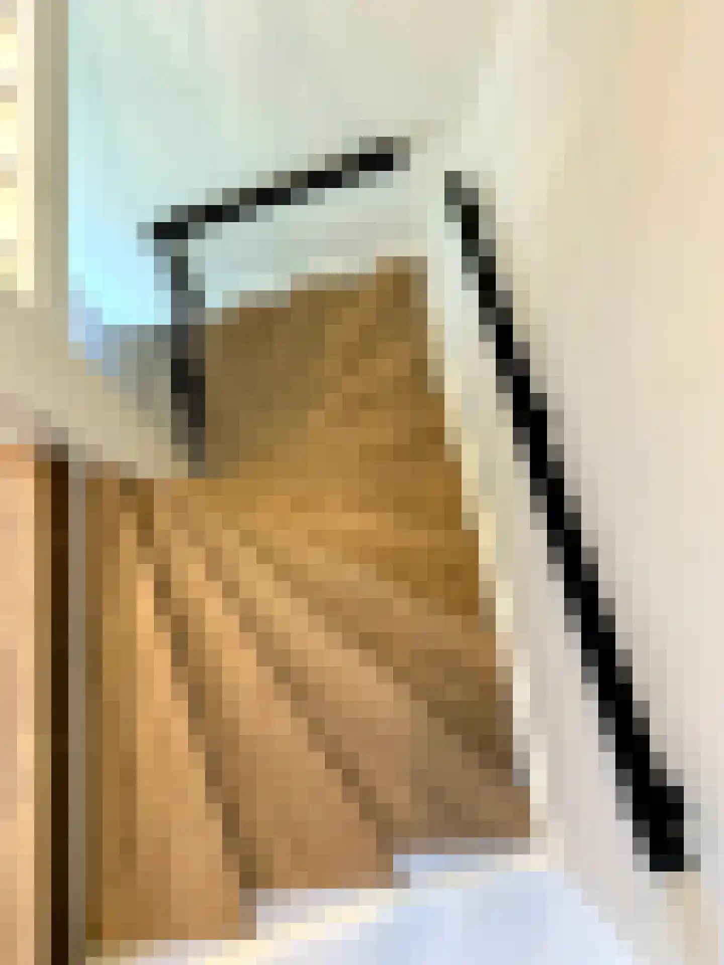 Schepenenstraat 13 Montfoort thumbnail 27