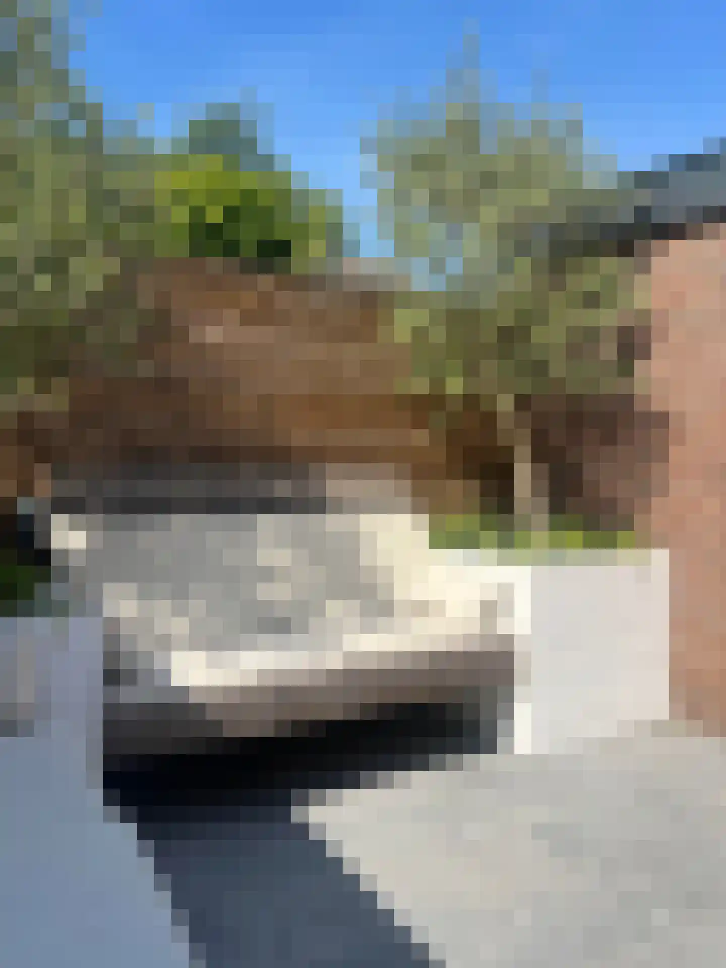 Schepenenstraat 13 Montfoort thumbnail 37