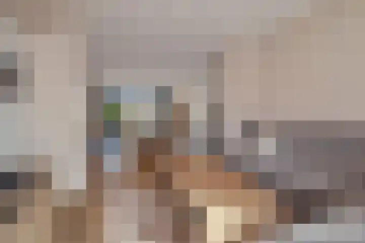 Schepenenstraat 13 Veldhoven thumbnail 12