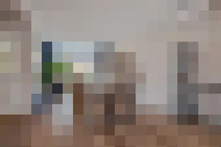 Schepenenstraat 13 Veldhoven thumbnail 15
