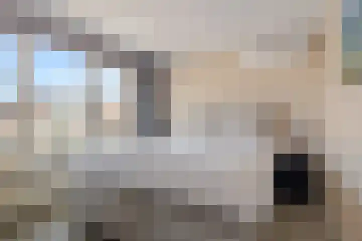 Schepenenstraat 13 Veldhoven thumbnail 20