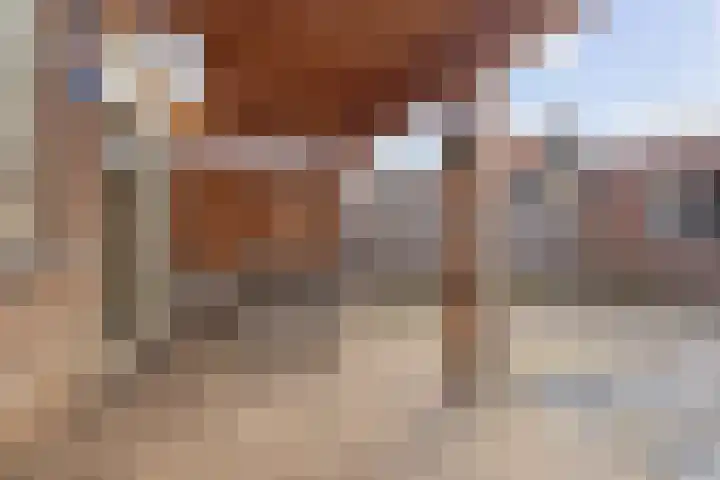 Schepenenstraat 13 Veldhoven thumbnail 30