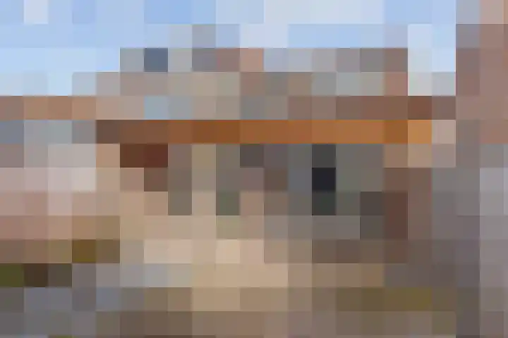 Schepenenstraat 13 Veldhoven thumbnail 34