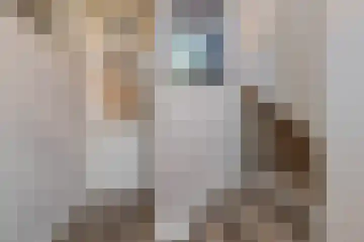 Schepenenstraat 13 Veldhoven thumbnail 4