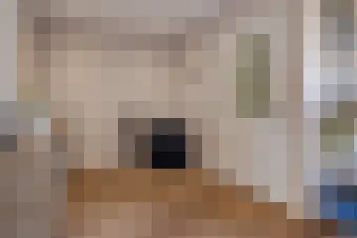 Schepenenstraat 13 Veldhoven thumbnail 7