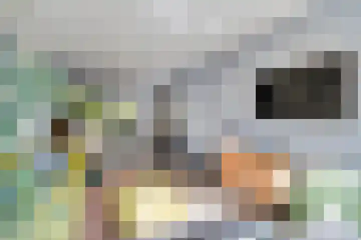 Schepenenstraat 15 Geldrop thumbnail 19