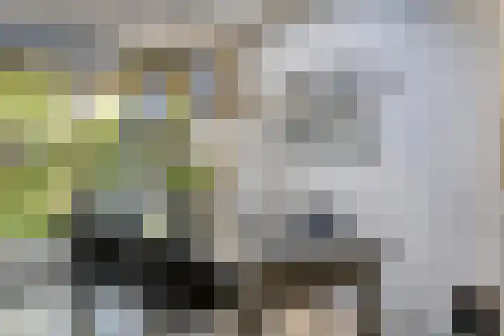 Schepenenstraat 15 Geldrop thumbnail 22