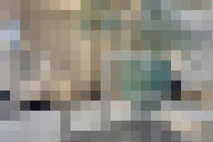 Schepenenstraat 15 Geldrop thumbnail 24