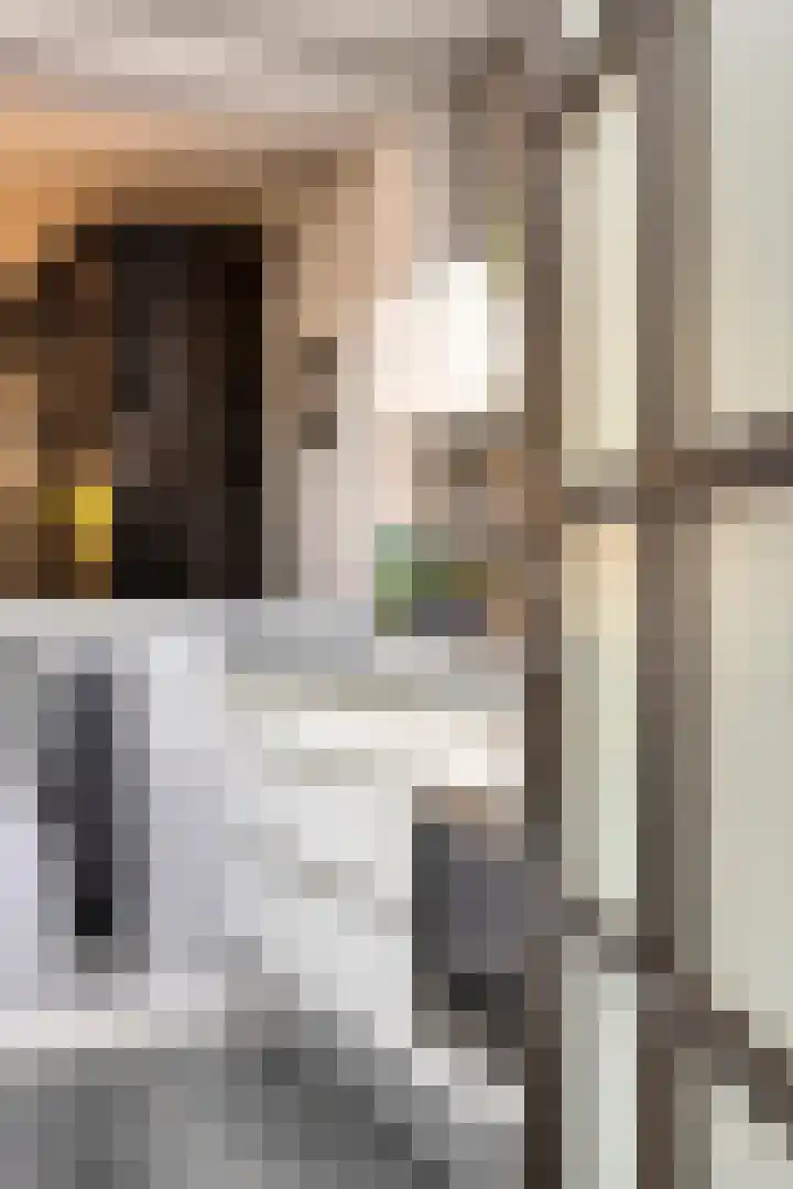 Schepenenstraat 15 Geldrop thumbnail 27