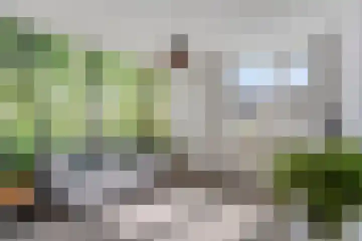 Schepenenstraat 15 Geldrop thumbnail 30