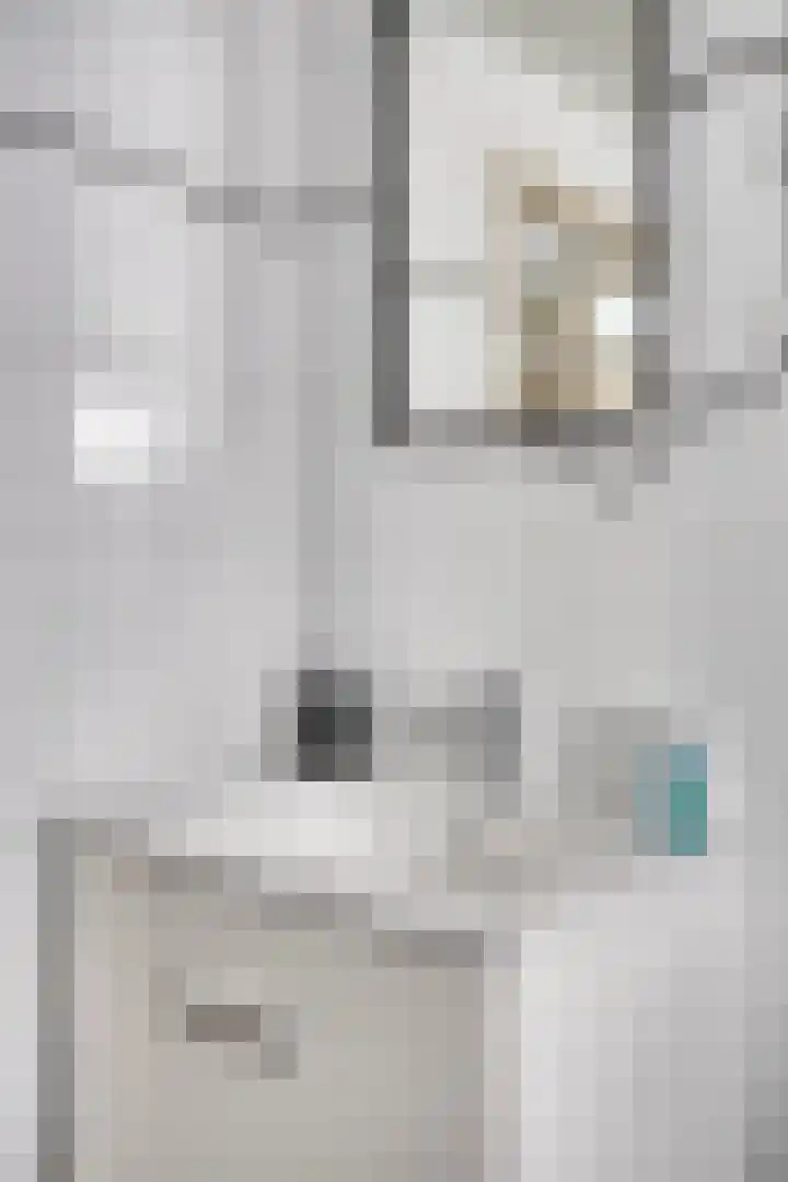 Schepenenstraat 15 Geldrop thumbnail 33