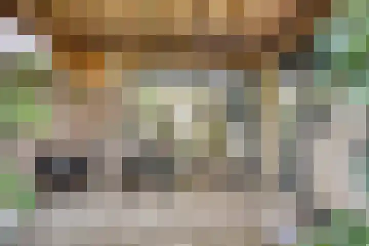 Schepenenstraat 15 Geldrop thumbnail 39