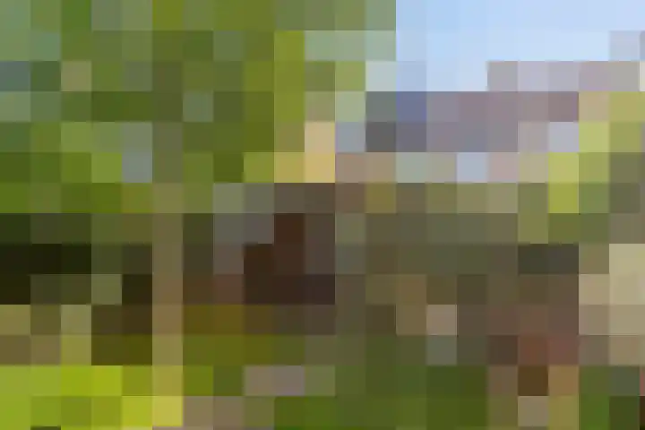 Schepenenstraat 15 Geldrop thumbnail 42