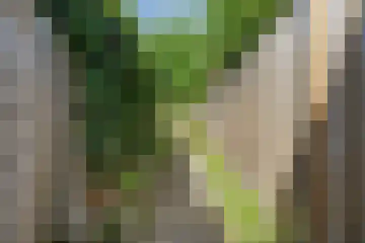 Schepenenstraat 15 Geldrop thumbnail 44