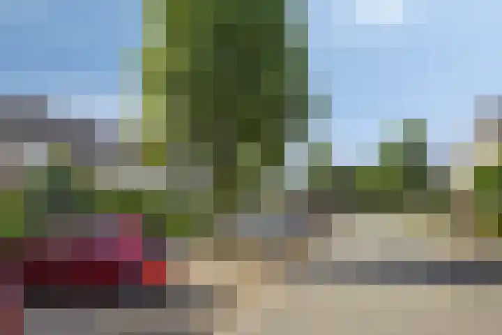 Schepenenstraat 15 Geldrop thumbnail 45