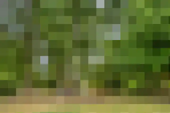 Schepenenstraat 15 Geldrop thumbnail 48