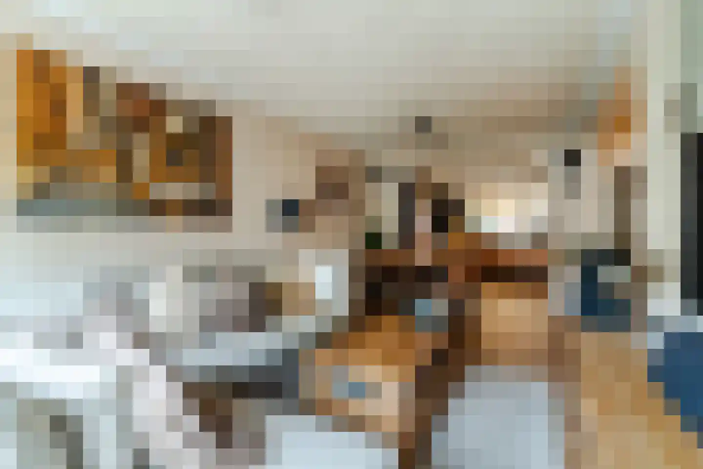 Schepenenstraat 15 Veldhoven thumbnail 11