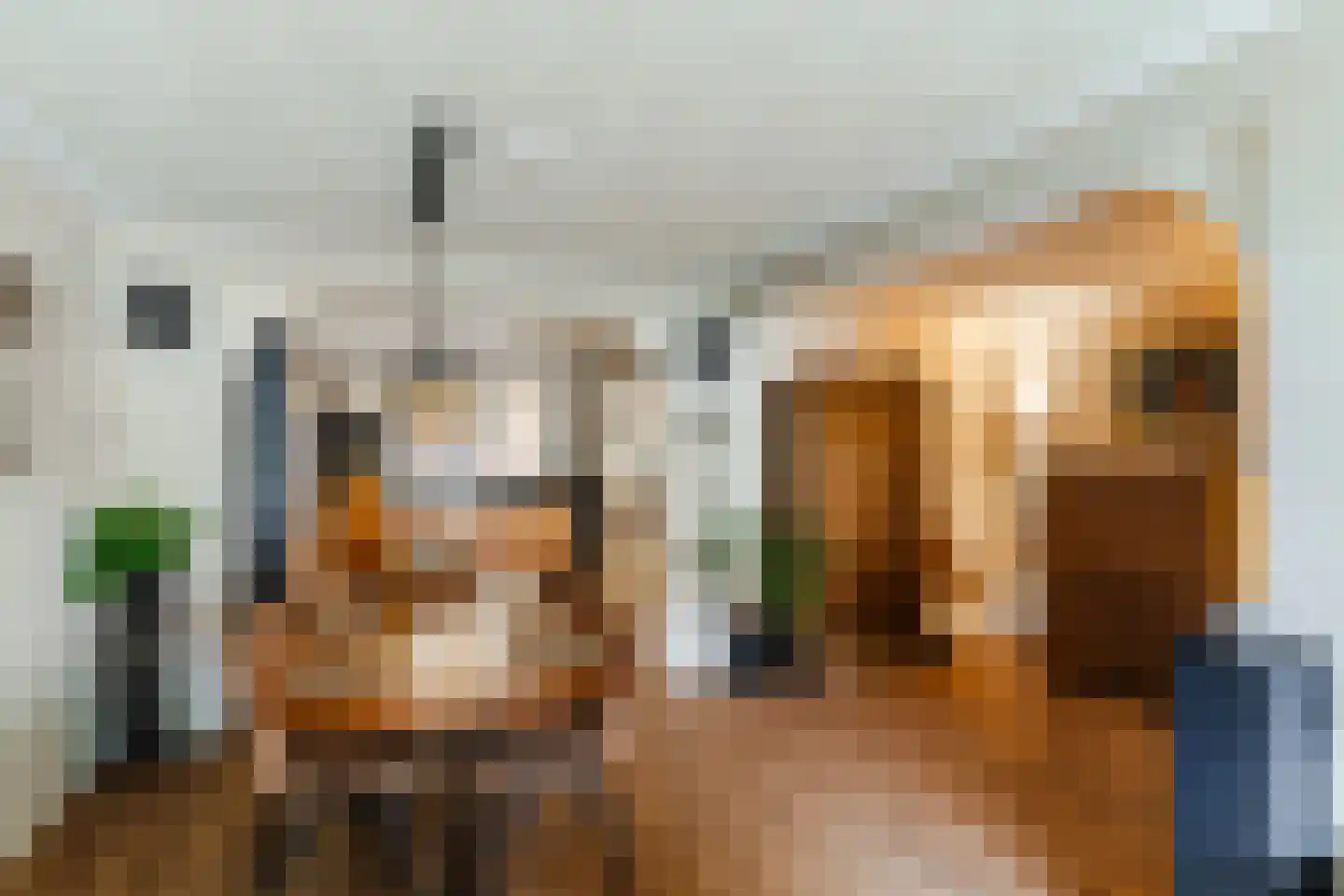 Schepenenstraat 15 Veldhoven thumbnail 13
