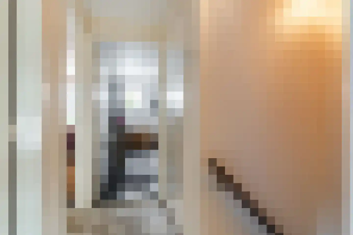 Schepenenstraat 15 Veldhoven thumbnail 19