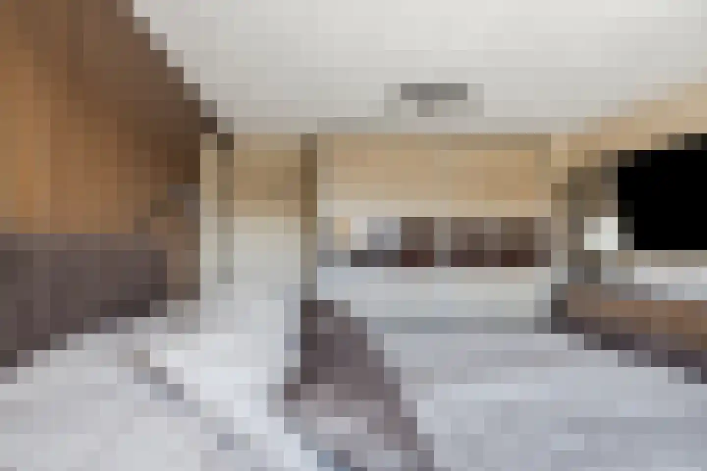 Schepenenstraat 15 Veldhoven thumbnail 21