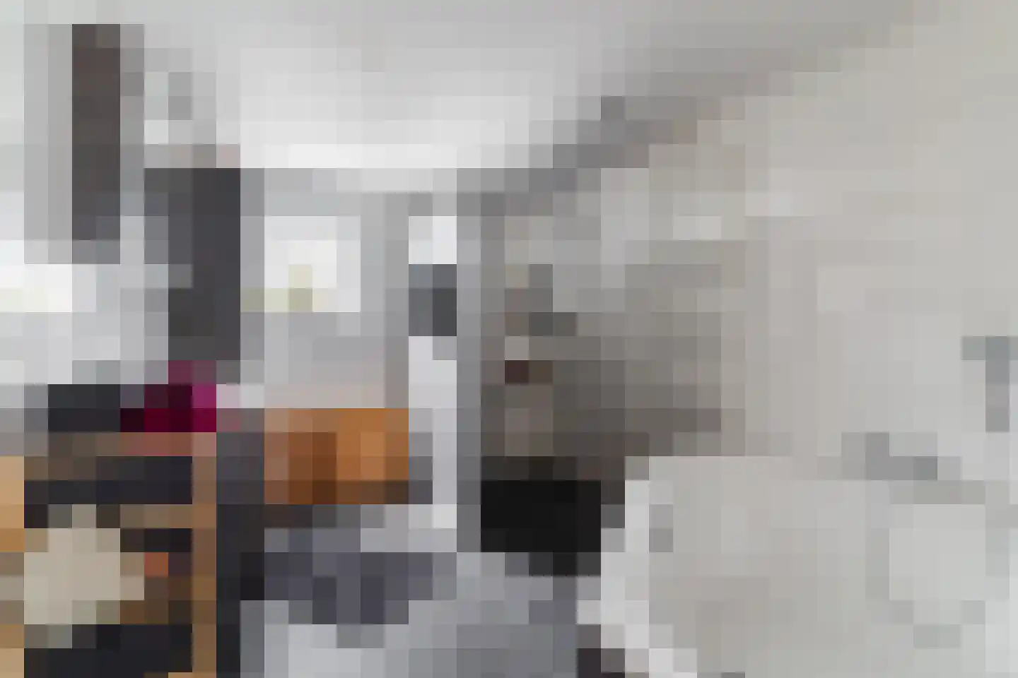 Schepenenstraat 15 Veldhoven thumbnail 23