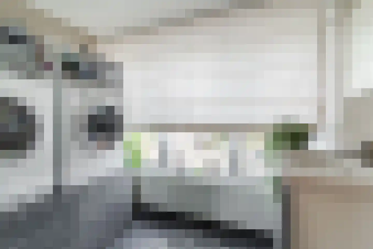 Schepenenstraat 15 Veldhoven thumbnail 25